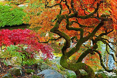 KK官方对战平台策划面对面 经典老图大返场，新图福利拿不停！